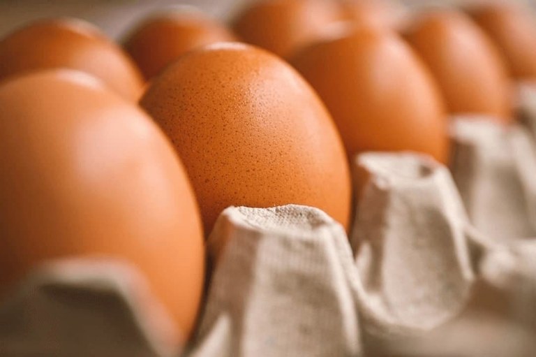 p5 Governo pode tomar medidas drásticas para diminuir preço dos alimentos